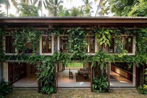 Model Tampak Depan Rumah Minimalis Asri dengan Tanaman Rambat. Foto: