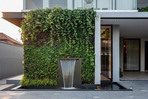 Model Tampak Depan Rumah Minimalis Asri dengan Tanaman Rambat. Foto: