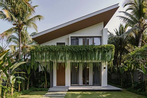 Model Tampak Depan Rumah Minimalis Asri dengan Tanaman Rambat. Foto: