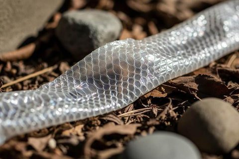 Ilustrasi sarang atau lubang ular. [Foto: Gemini]