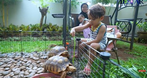 Potret Taman Rumah Lesti Kejora yang Minimalis/Youtube/Leslar Entertainment