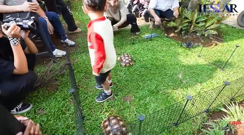 Potret Taman Rumah Lesti Kejora yang Minimalis/Youtube/Leslar Entertainment