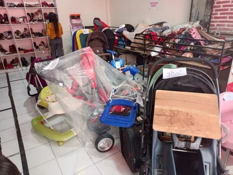 Ular Piton di Plafon Rumah