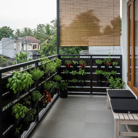 Desain Teras Minimalis dengan Kebun Sayur Vertikal. (Foto: AI)