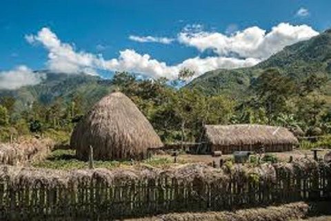 Rumah adat Papua Selatan panggung sederhana (Gemini AI)