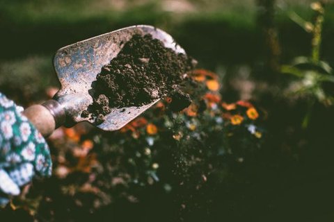 Kebun Sayur Dekat Dapur (Image by Gemini AI)