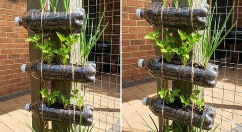 Menara Botol Plastik Bekas merupakan salah satu sistem kebun sayur bertingkat (Gemini AI)