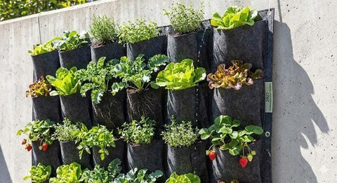 Menara Botol Plastik Bekas merupakan salah satu sistem kebun sayur bertingkat (Gemini AI)