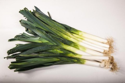 Menanam Sayur di Botol Bekas. (Foto: Gemini AI)