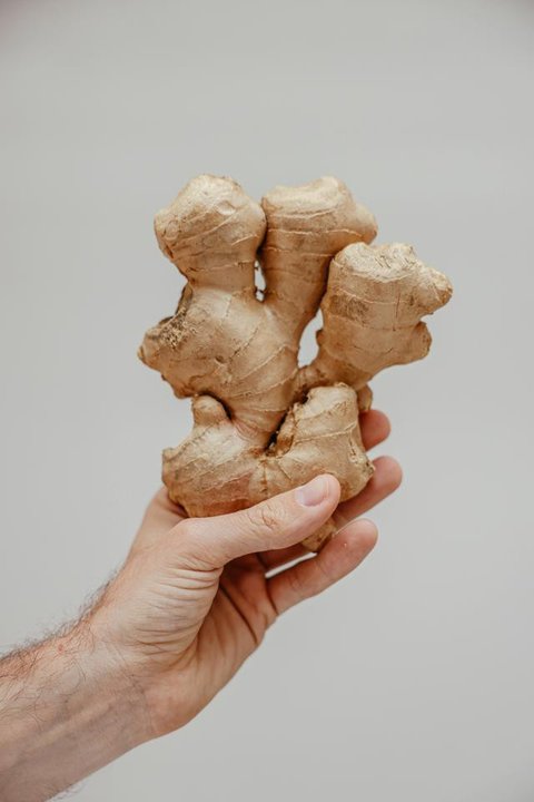 Menanam Sayur di Botol Bekas. (Foto: Gemini AI)