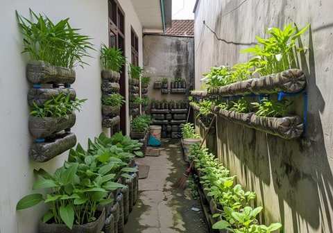 Ide Kebun Mini Rumah yang Menjaga Ketersediaan Sayur Selama Minggu Model Kebun di Balkon/ Ilustrasi AI