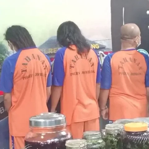 Kasus Kebun Ganja di Jombang