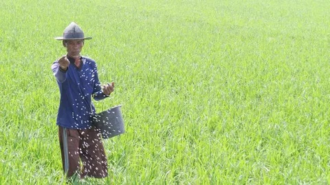 Ilustrasi petani bekerja di sawah. (Dok. Kementan)