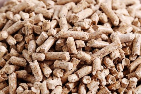 PLN berhasil melakukan uji coba penggunaan 75 persen biomassa Woodchips (kepingan kayu) untuk bahan bakar pengganti batu bara (cofiring) di PLTU Bolok dengan kapasitas 2x16,5 Megawatt (MW)