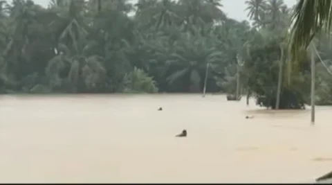 Aksi Heroik TNI Tanpa Pikir Panjang Terjang Arus Sungai Demi Selamatkan Warga