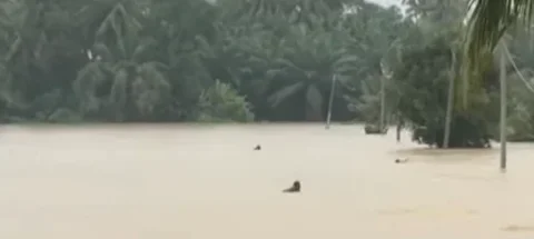 Aksi Heroik TNI Tanpa Pikir Panjang Terjang Arus Sungai Demi Selamatkan Warga