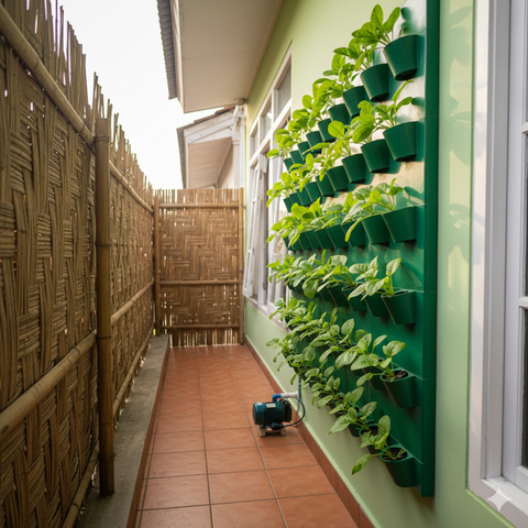 Model Kebun Sayur di Teras Rumah Tanpa Bikin Becek. Gemini