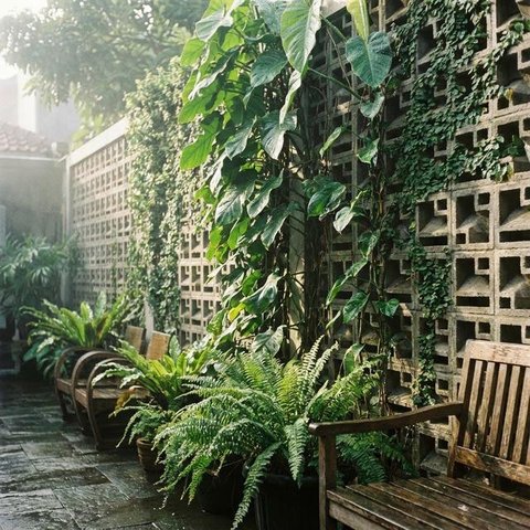 Desain Teras Minimalis Dengan Dinding Roster Agar Sirkulasi Udara Adem, (Foto: AI)