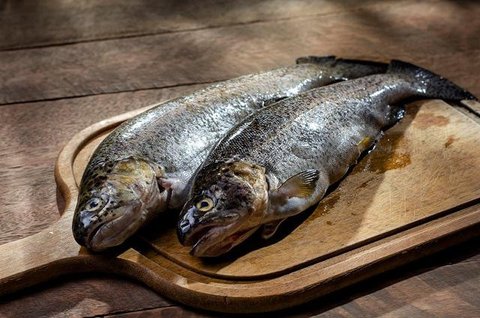Pilih Ikan Segar, Kunci Awal Tekstur Terjaga. Foto: Gemini