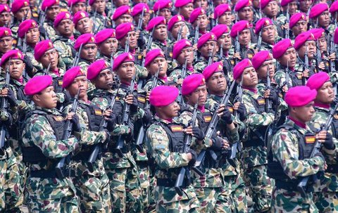 Brigjen TNI Aulia Dwi Nasrullah, Sumber: Merdeka.com