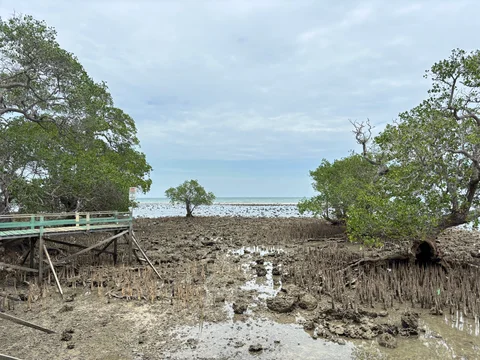 Menjaga Biru Madura PHE WMO Dorong Konservasi Laut dan Ekonomi Pesisir Lewat Taman Wisata Laut Labuhan