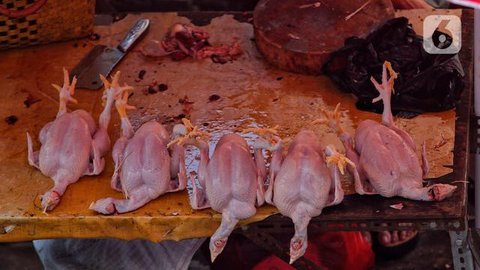 ilustrasi daging ayam/Photo by Karyna Panchenko on Unsplash