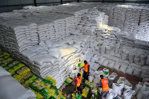 Pekerja menyiapkan karung-karung beras di gudang Badan Logistik Indonesia (Bulog) di Lambaro, Provinsi Aceh, Senin (29/12/2025).