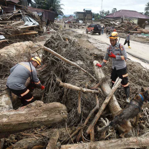 Tim penyelamat  dengan menggunakan anjing pelacak mencari  korban banjir di Batang Toru, Sumatera Utara, Indonesia, Selasa (02/12/2025).<br /> AP/Binsar Bakkara)
