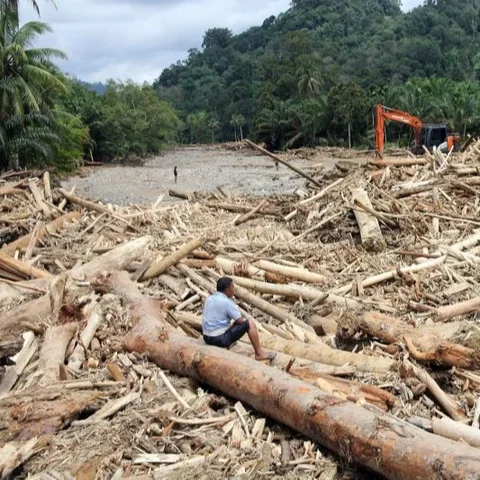 Kayu gelondongan besar terbawa arus banjir di Sumatera. (Antara)