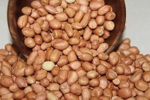 Ilustrasi kacang tanah.