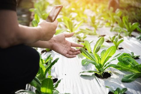 Ilustrasi Jamu Kunyit | unsplash.com/@foodism360
