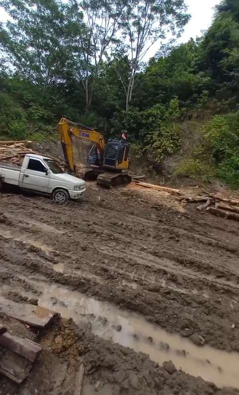 Viral! Rekaman Ilegal Logging di Lampung Bikin Warga Ketakutan