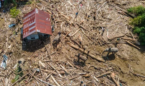 Gajah Sumatra dikerahkan untuk membantu proses evakuasi korban banjir bandang di Meureudu, Kabupaten Pidie Jaya, Aceh, Senin (08/12/2025).