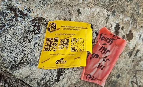 Gelondongan Kayu Berbarcode Kemenhut Terhempas di Pesisir Barat, Asal Kapal Tongkang Sumbar