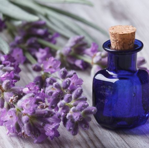 Lavender oil