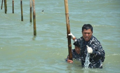 TNI AL berhasil membongkar 22,5 kilometer pagar laut ilegal di Tangerang, Banten, berkat operasi gabungan dengan nelayan dan lembaga terkait, kendati menghadapi tantangan cuaca dan kondisi lapangan.
