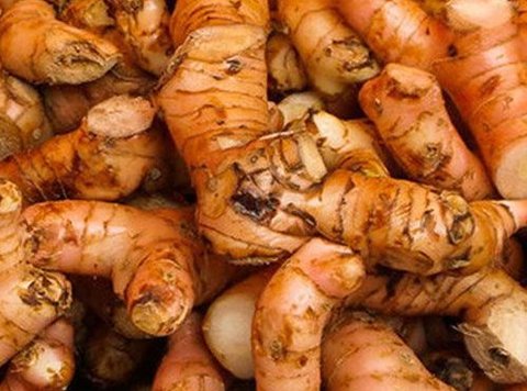 Manfaat jahe untuk kesehatan tubuh.