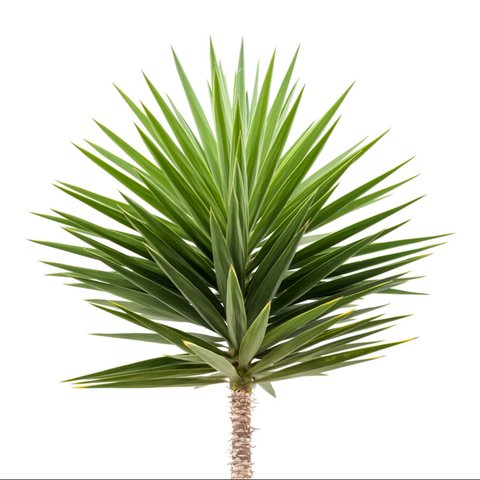 (Foto: iStockphoto)