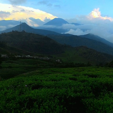 Pemandangan Gunung Gede Pangrango, di wilayah Bogor dan Sukabumi, Jawa Barat. (Liputan6.com/Achmad Sudarno)