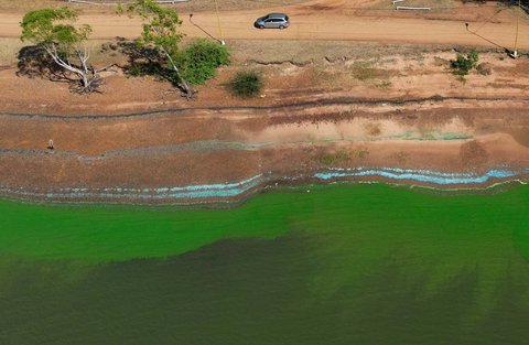 Pemandangan Bendungan Salto Grandeg yang diselimuti ganggang  hijau biru  akibat sianobakteri, di Sungai Uruguay, dekat Concordia, Entre Rios, Argentina, (13 /02/ 2025) waktu setempat.
