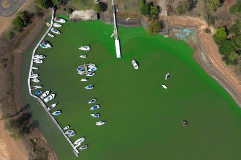 Pemandangan Bendungan Salto Grandeg yang diselimuti ganggang  hijau biru  akibat sianobakteri, di Sungai Uruguay, dekat Concordia, Entre Rios, Argentina, (13 /02/ 2025) waktu setempat.