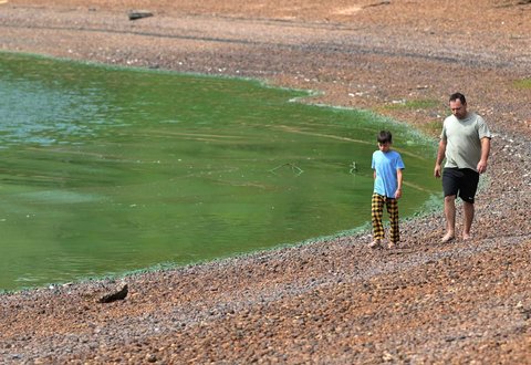 Warga berjalan di pinggirann Bendungan Salto Grandeg yang diselimuti ganggang  hijau biru  akibat sianobakteri, di Sungai Uruguay, dekat Concordia, Entre Rios, Argentina, (13 /02/ 2025) waktu setempat.
