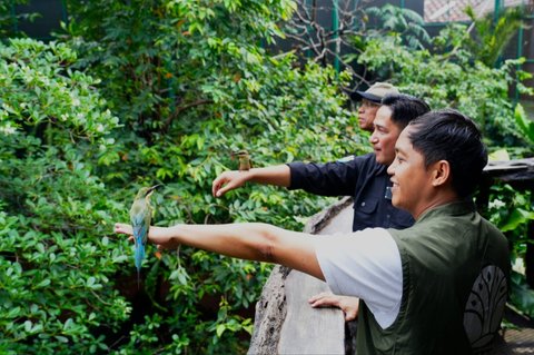 Keseruan Menhut Raja Juli Main ke Aviary Irfan Hakim