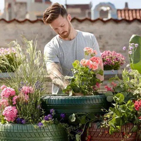 Ilustrasi berkebun. (Photo by Pelargoniums for Europe on Unsplash)