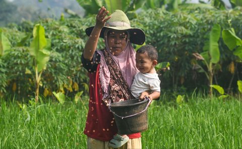 Petani menggendong anaknya saat menaburkan pupuk phonska pada tanaman padi huma di Desa Iwul, Bogor, Senin (24/02/2025). Distribusi pupuk subsidi kepada petani mulai lancar sejak akhir tahun 2024 lalu. Setiap anggota kelompok tani mendapatkan jatah masing-masing 2 kwintal jenis pupuk urea dan ponska dengan harga Rp150 ribu per 50 kilogram ditambah ongkos kirim.