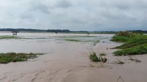 Jika Banjir Datang, Ini Barang-Barang yang Pertama Harus Diselamatkan