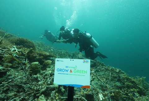 BRI Menanam Grow & Green di Pulau Maratua, Kabupaten Berau, Provinsi Kalimantan Timur