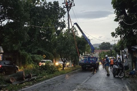 PLN UID Lampung berhasil pulihkan pasokan listrik ke seluruh pelanggan setelah cuaca ekstrem menyebabkan gangguan di 174.965 pelanggan pada Selasa, 4 Februari 2024.