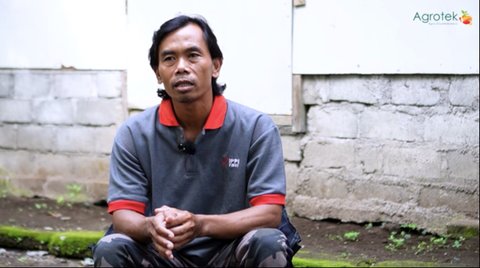 ternak ulat hongkong