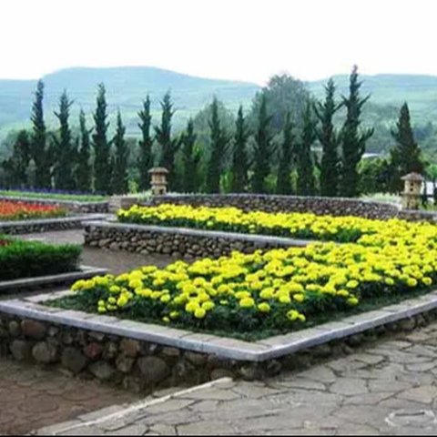 Taman Safari Indonesia di Cisarua, Puncak.  Taman Safari Indonesia.